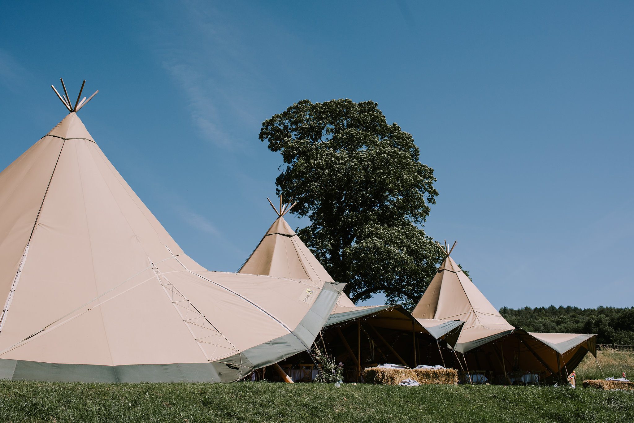Summer wedding tipis